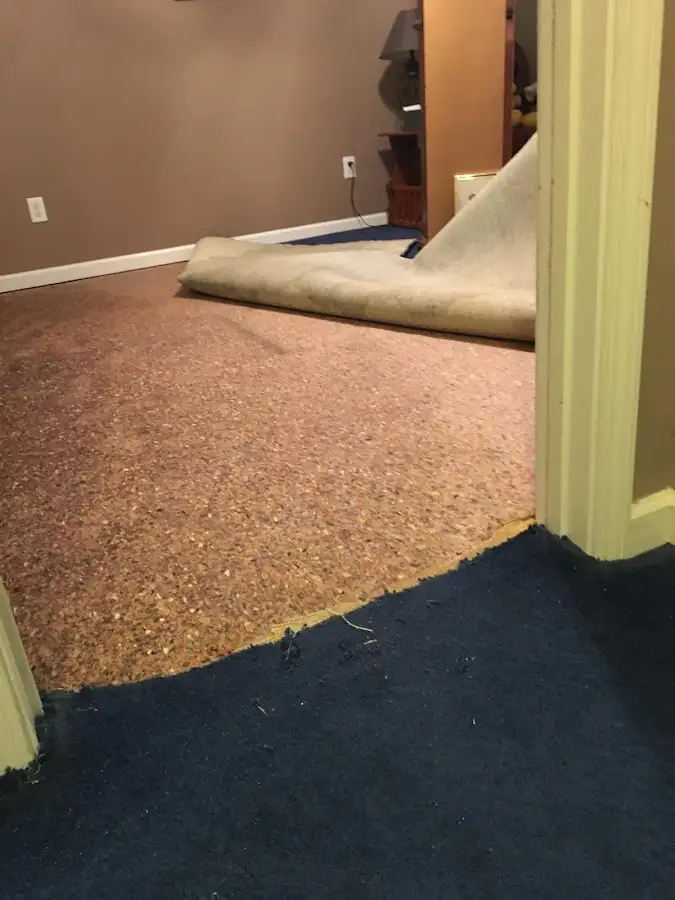 Carpet pad removal revealing water damage during Water Mitigation Services in Mount Carmel