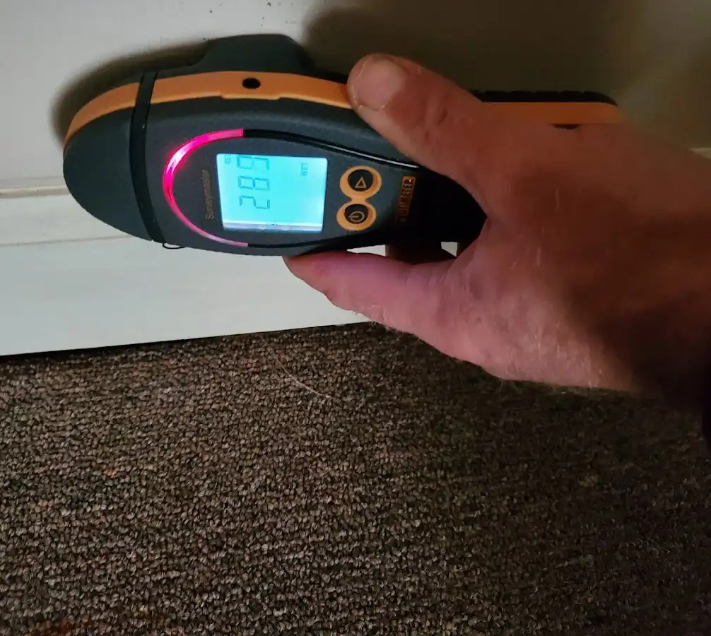 Moisture detection at baseboard during Mold Inspection & Testing in Mount Carmel